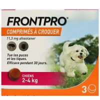 FrontPro petit chien 2-4kg puces tiques 3 comprimés