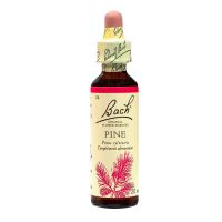 Bach pine n°24 20ml