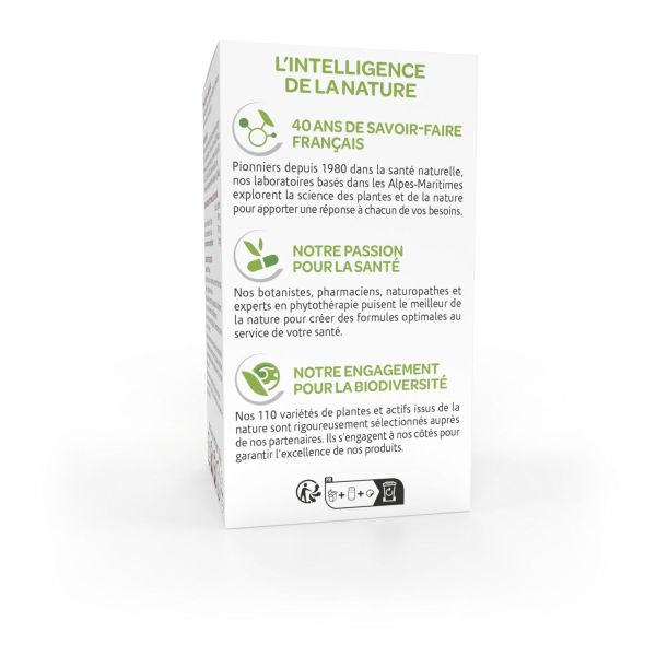 Arkogélules Ginkgo mémoire 150 gélules