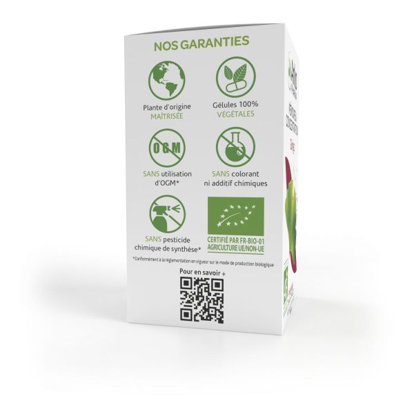 Arkogélules Ginkgo mémoire 150 gélules